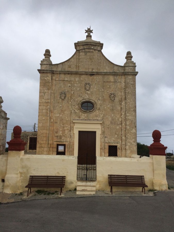 Immaculate Conception of Our Lady